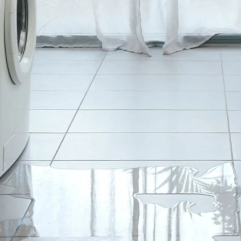 Appliance Leak Cleanup in Wayne City, IL