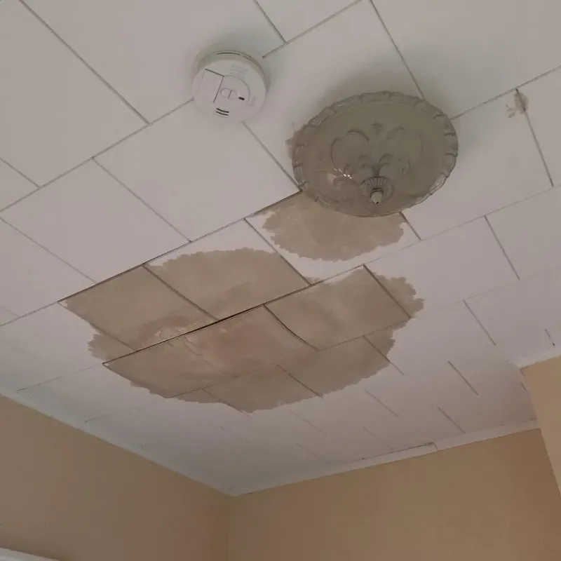 Ceiling Water Damage Repair in Wayne City, IL