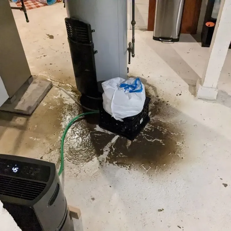 Sewage Backup Cleanup Service in Wayne City, IL